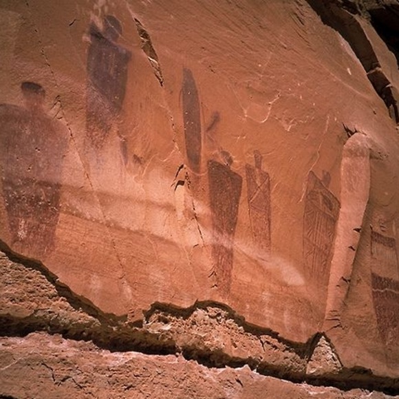 Meet your Posher, PJ - Picture 2 of 3